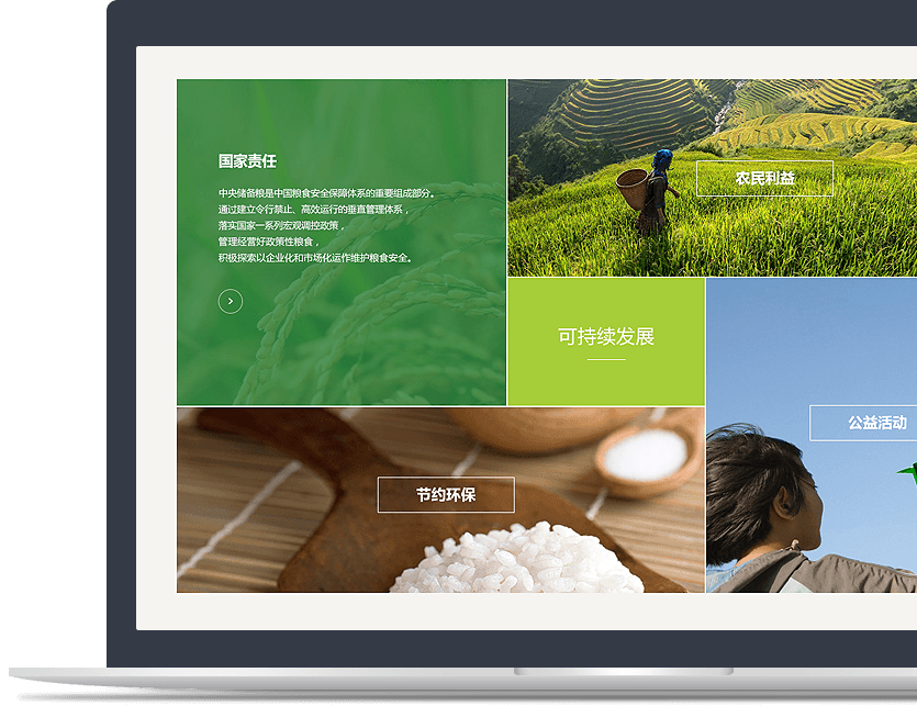 國有企業(yè)官網(wǎng)設(shè)計說明