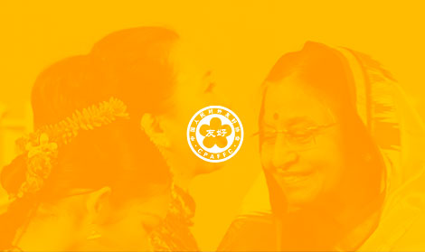 中國人民對外友好
協會官網網站開發(fā)