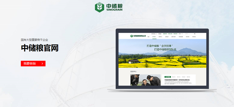 中儲糧官網(wǎng)-新鴻儒案例